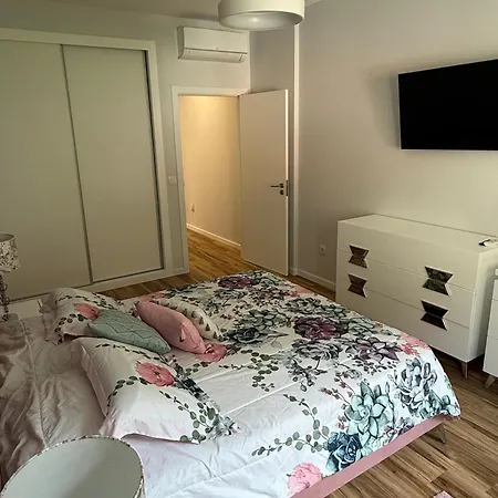 Visconde Ii F リベイラ・ブラーヴァ